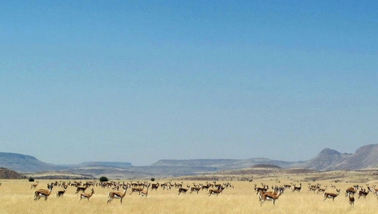 Desert Rhino Camp - Palmwag Landscape